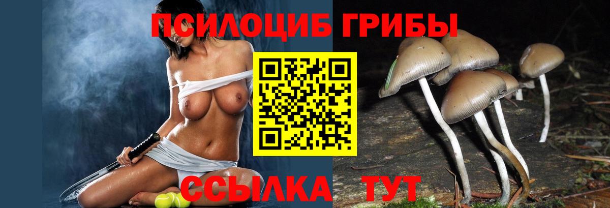 Галлюциногенные грибы Magic Shrooms Баксан